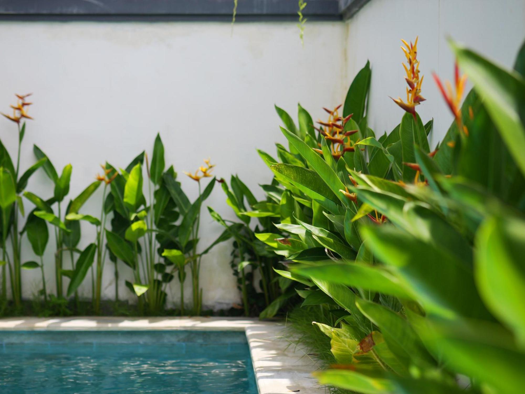 Ken Ken Guest House Seminyak Exteriér fotografie